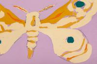 Tan Butterfly on Purple