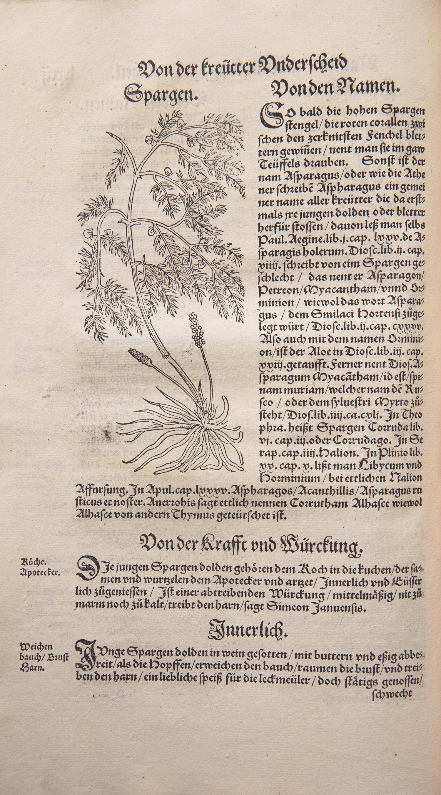 [Natural History] Bock, Hieronymus. Kreüter Buch...