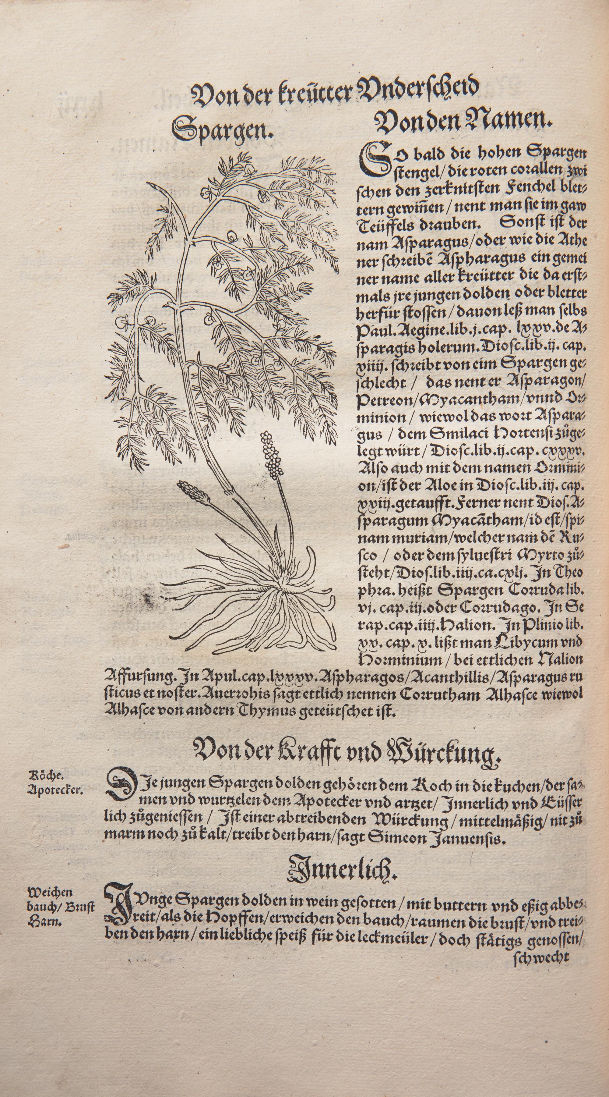 [Natural History] Bock, Hieronymus. Kreüter Buch...