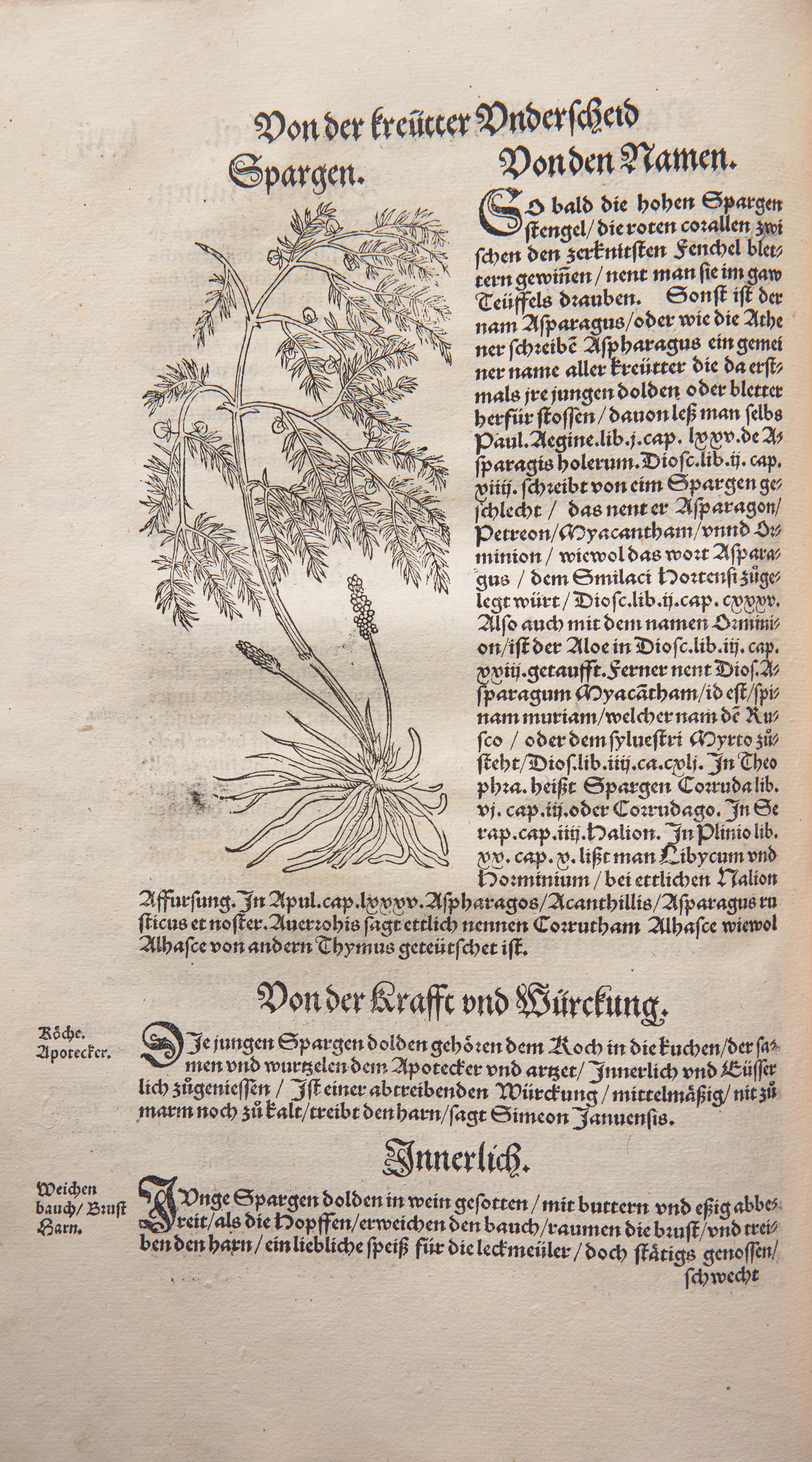 [Natural History] Bock, Hieronymus. Kreüter Buch...