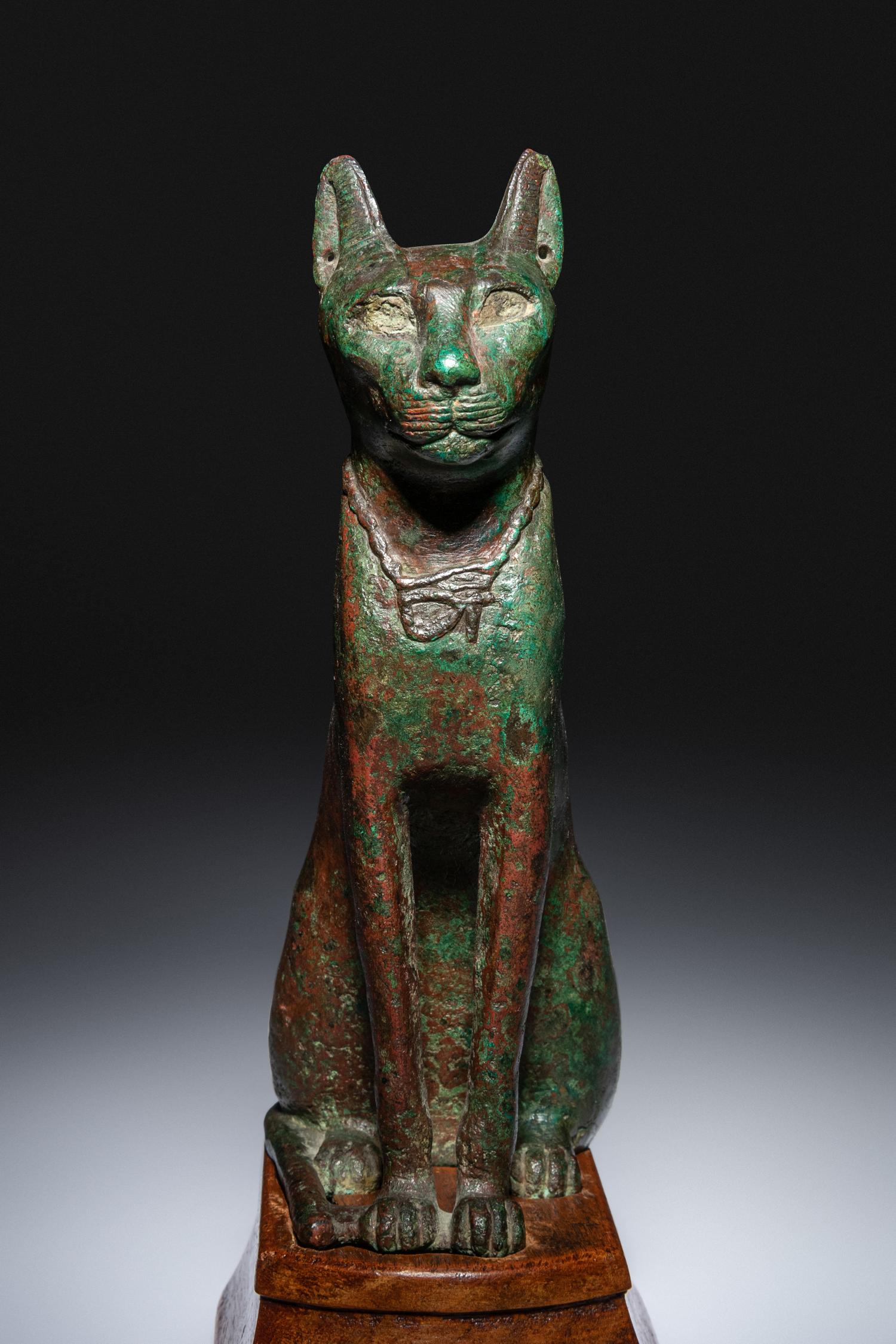 An Egyptian Bronze Cat