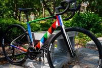 Odili Donald Odita (Nigerian-American, b. 1966) — Cannondale Synapse Carbon 4