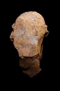 A Roman Giallo Antico Marble Herm Head of Dionysos
