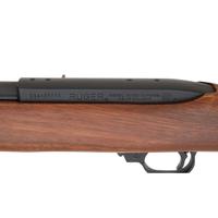 *Ruger 10/22 Carbine