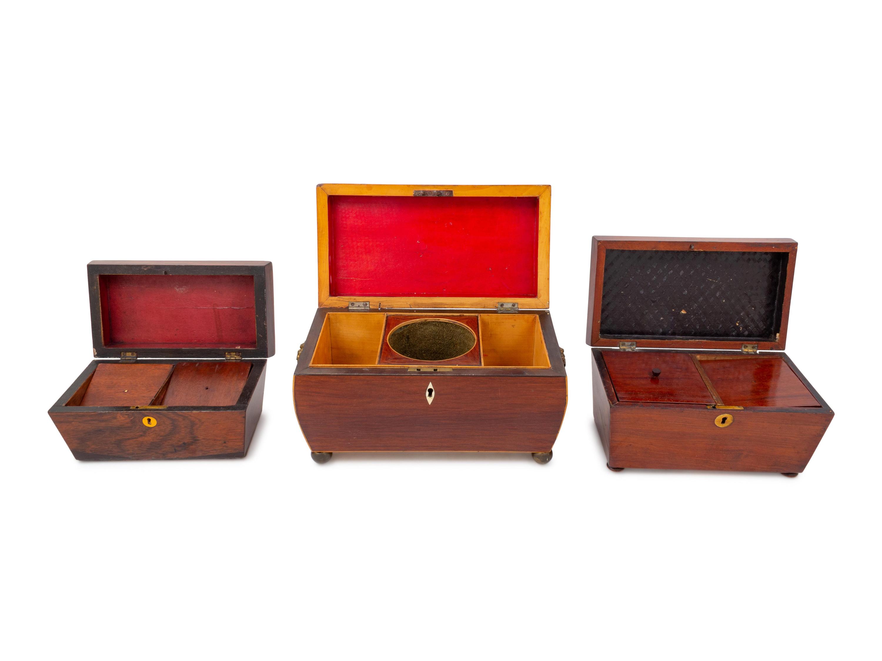Three Regency Carved Wood Tea Caddies