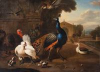 Follower of Melchoir d'Hondecoeter (Dutch, 1636-1695) — A Peacock, Turkey, Chicken and Other Birds in an Ornamental Garden