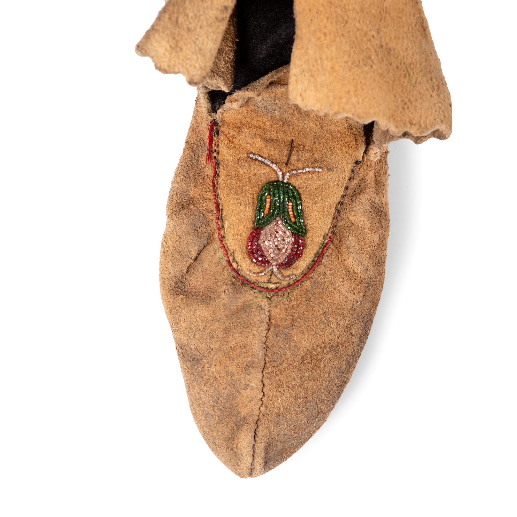 Group of Northeastern Moccasins