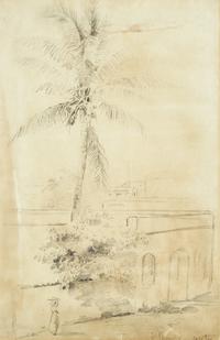 Cocotier (Saint Thomas)