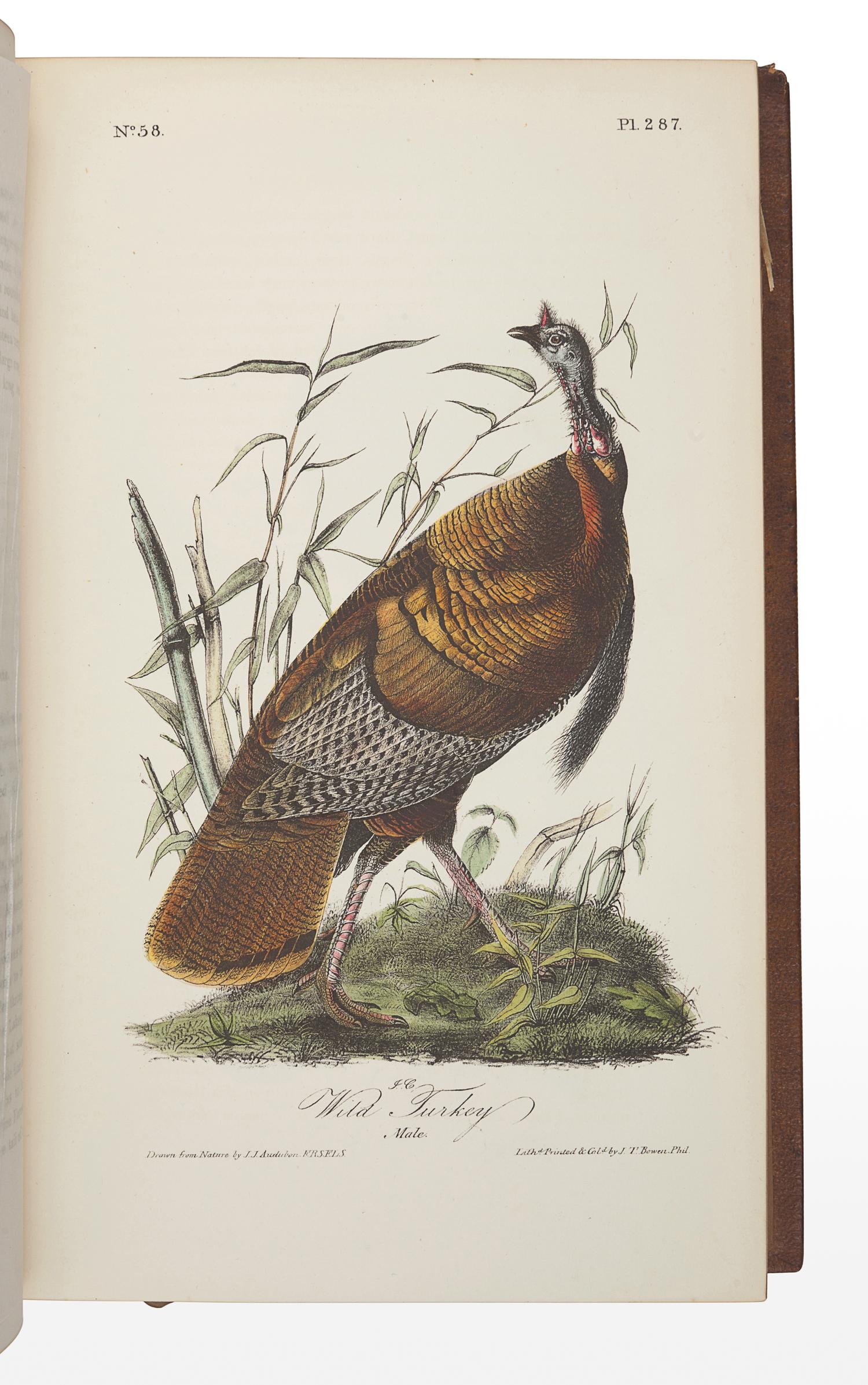 AUDUBON, John James (1785-1851). The Birds of America, from Drawings Made in the United States and their Territories . New York: J.J. Audubon; Philadelphia: J.B. Chevalier, [1839-] 1840-1844. -- AUDUBON, John James and John BACHMAN (1790-1874). The Quadrupeds of North America . New York: V.G. Audubon, 1849-1854.