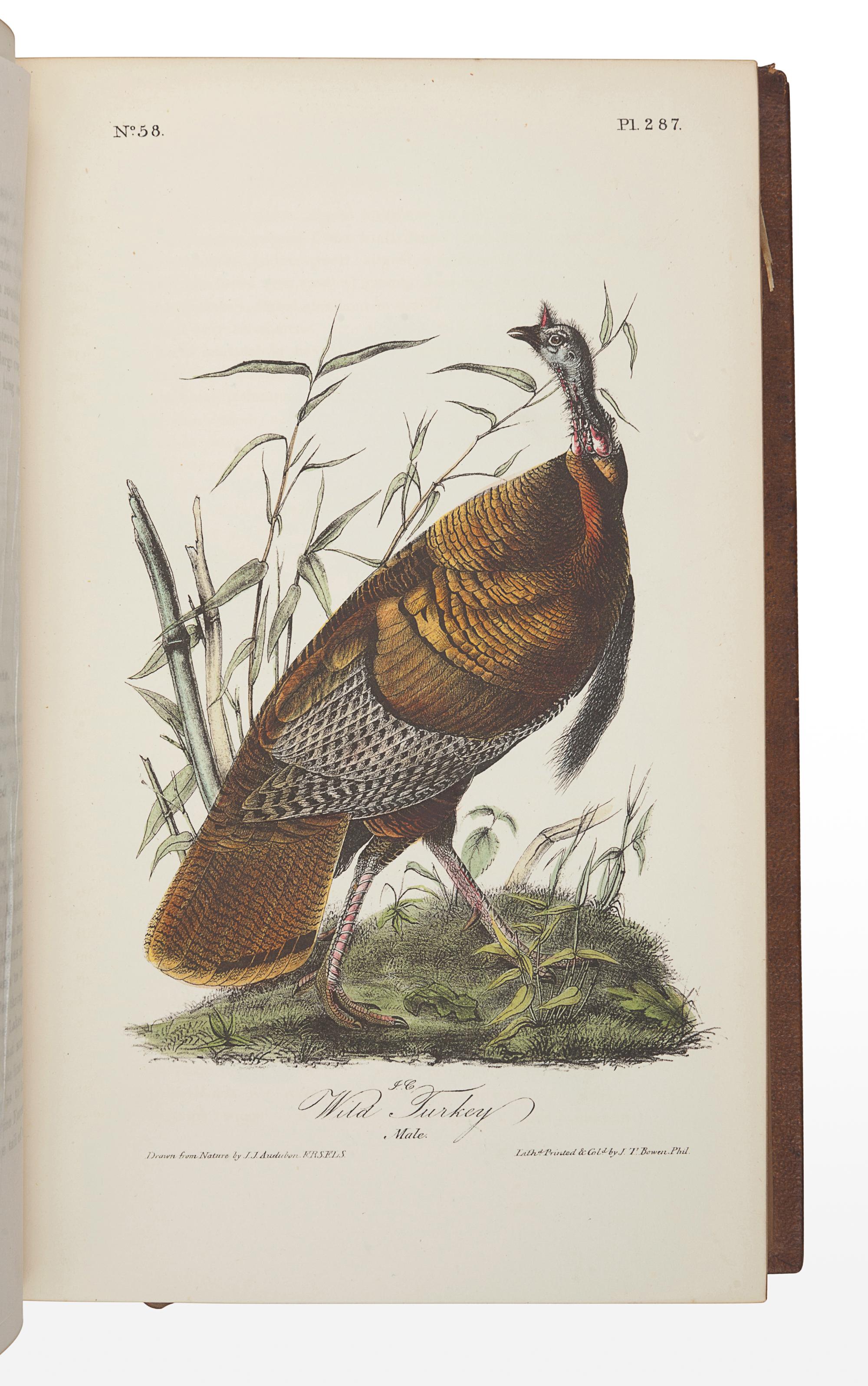 AUDUBON, John James (1785-1851). The Birds of America, from Drawings Made in the United States and their Territories . New York: J.J. Audubon; Philadelphia: J.B. Chevalier, [1839-] 1840-1844. -- AUDUBON, John James and John BACHMAN (1790-1874). The Quadrupeds of North America . New York: V.G. Audubon, 1849-1854.