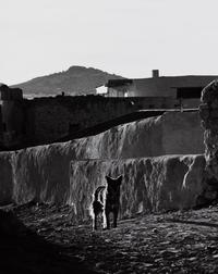 Ansel Adams (1902-1984) Laguna Pueblo, New Mexico, 1928