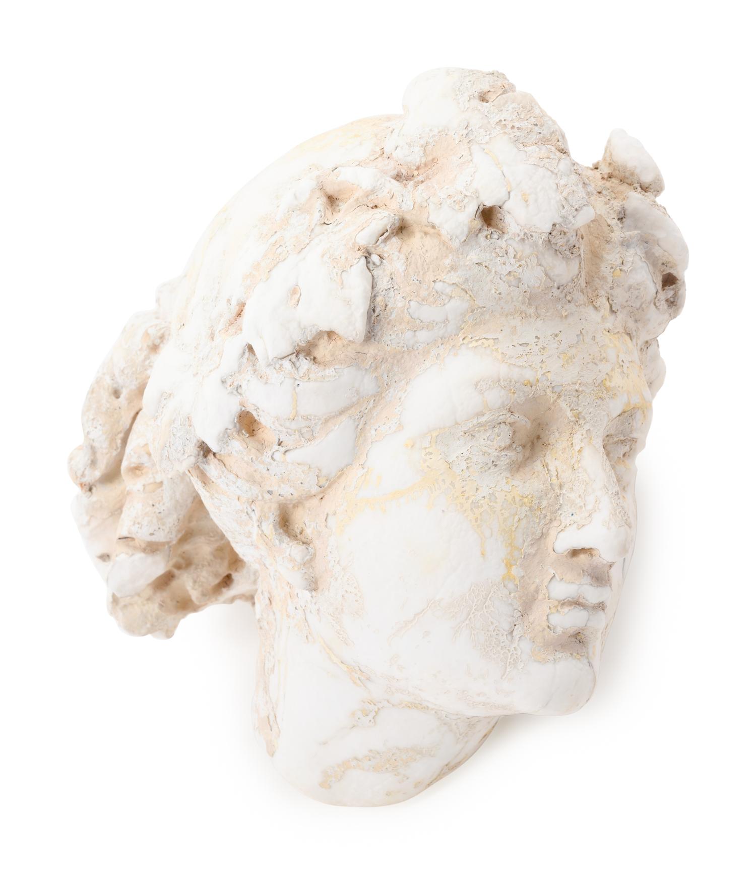 A Graeco-Roman Style Marble Head of a Woman