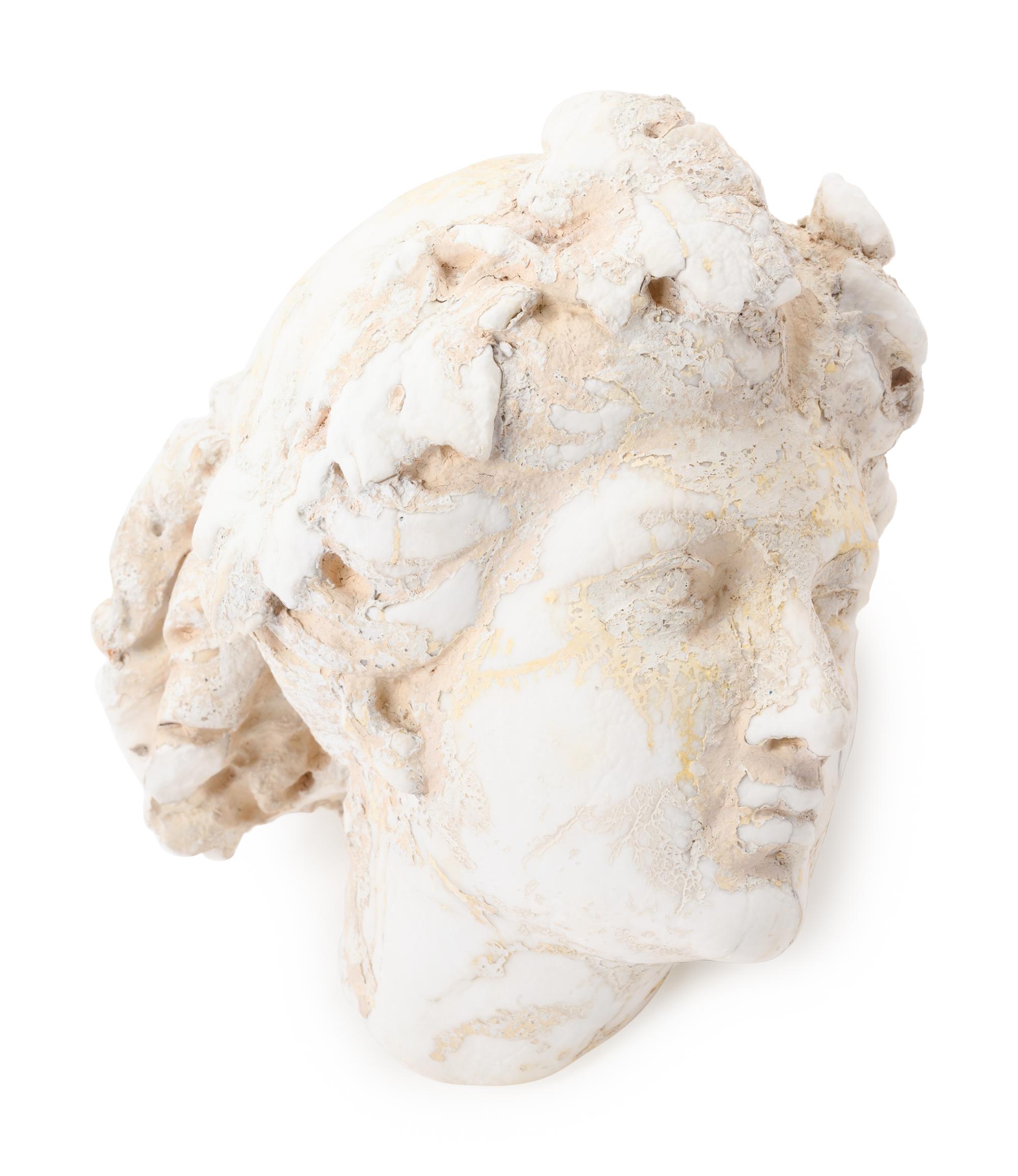 A Graeco-Roman Style Marble Head of a Woman