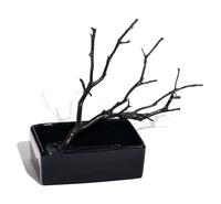 Ikebana Kit (Norton Family Christmas Project), 2012