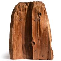 Tsimshian Carved Wood Totemic Fragment