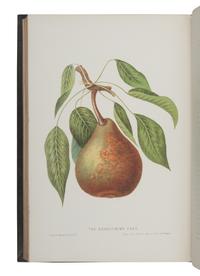 HOVEY, Charles Mason (1810-1887). The Fruits of America, containing richly colored figures and full descriptions of all the choicest varieties cultivated in the United States . Boston & New York: [Vol.I] Hovey & Co. and D. Appleton & Co. in New York, [Vol. II] Hovey & Co., 1852-1856.