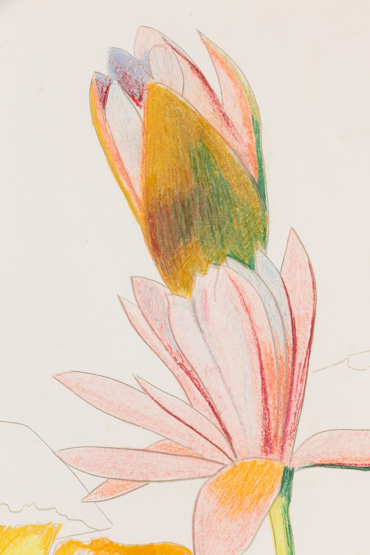 Two Magenta Waterlilies , c. 1930