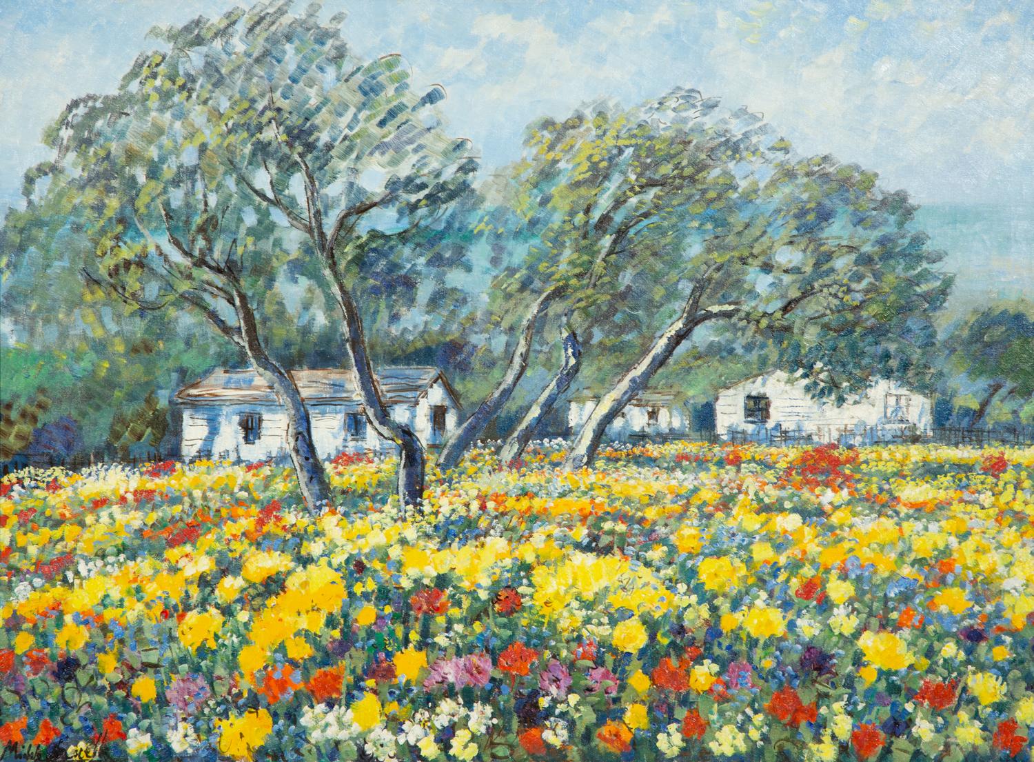 Flower Field in an Abruzzi Farmyard