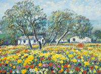 Flower Field in an Abruzzi Farmyard