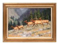 Bull Elk and His Harem
