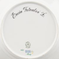 A Set of Thirteen Royal Copenhagen Flora Danica Porcelain Salad Plates