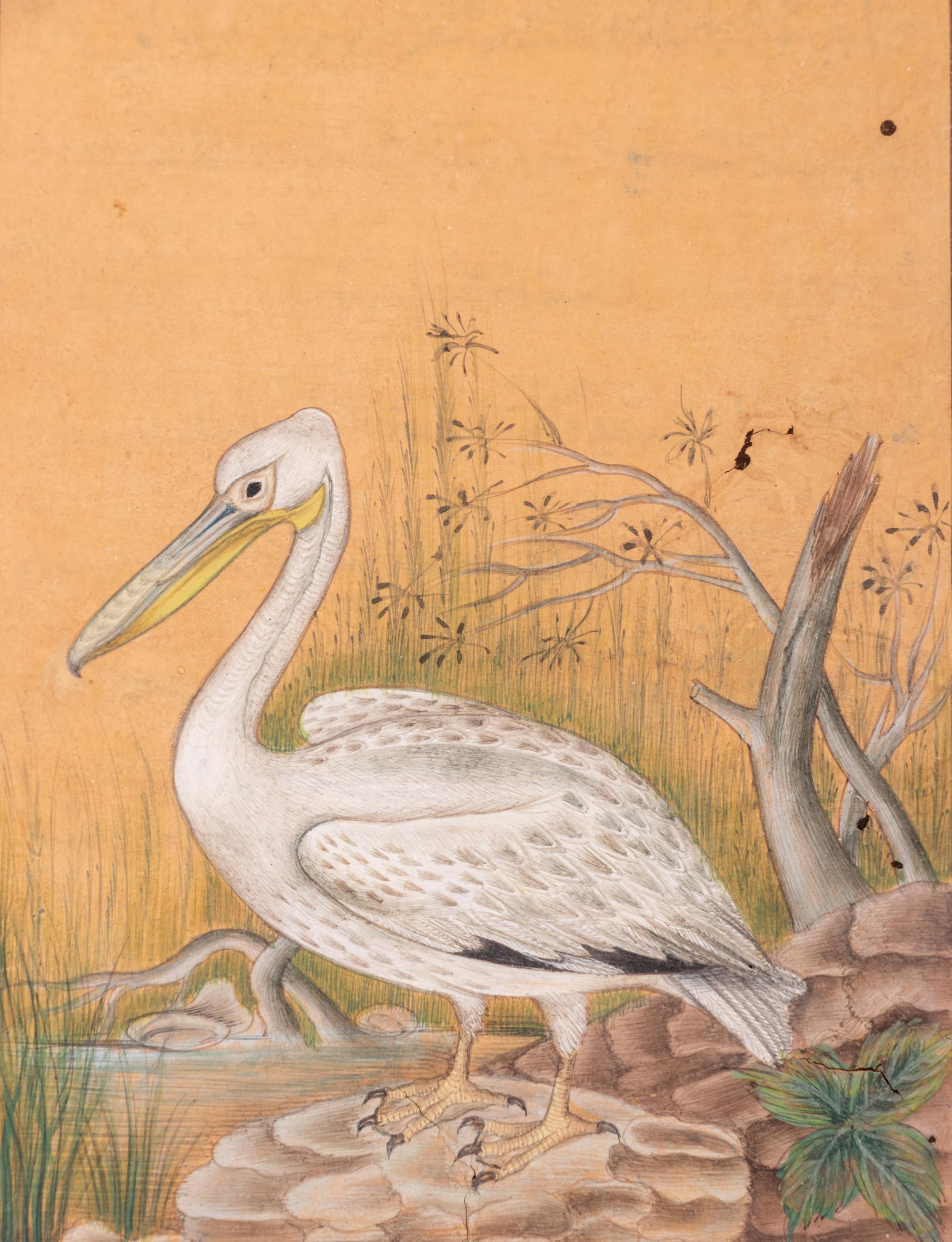 Four Indian and Islamic Miniature Paintings Depicting Birds
