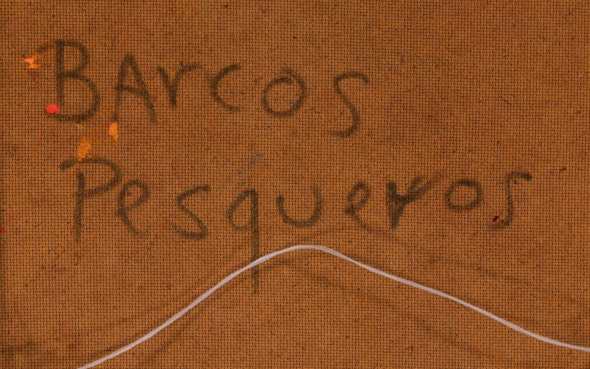 Barcos Pesqueros (Fishing Boats)