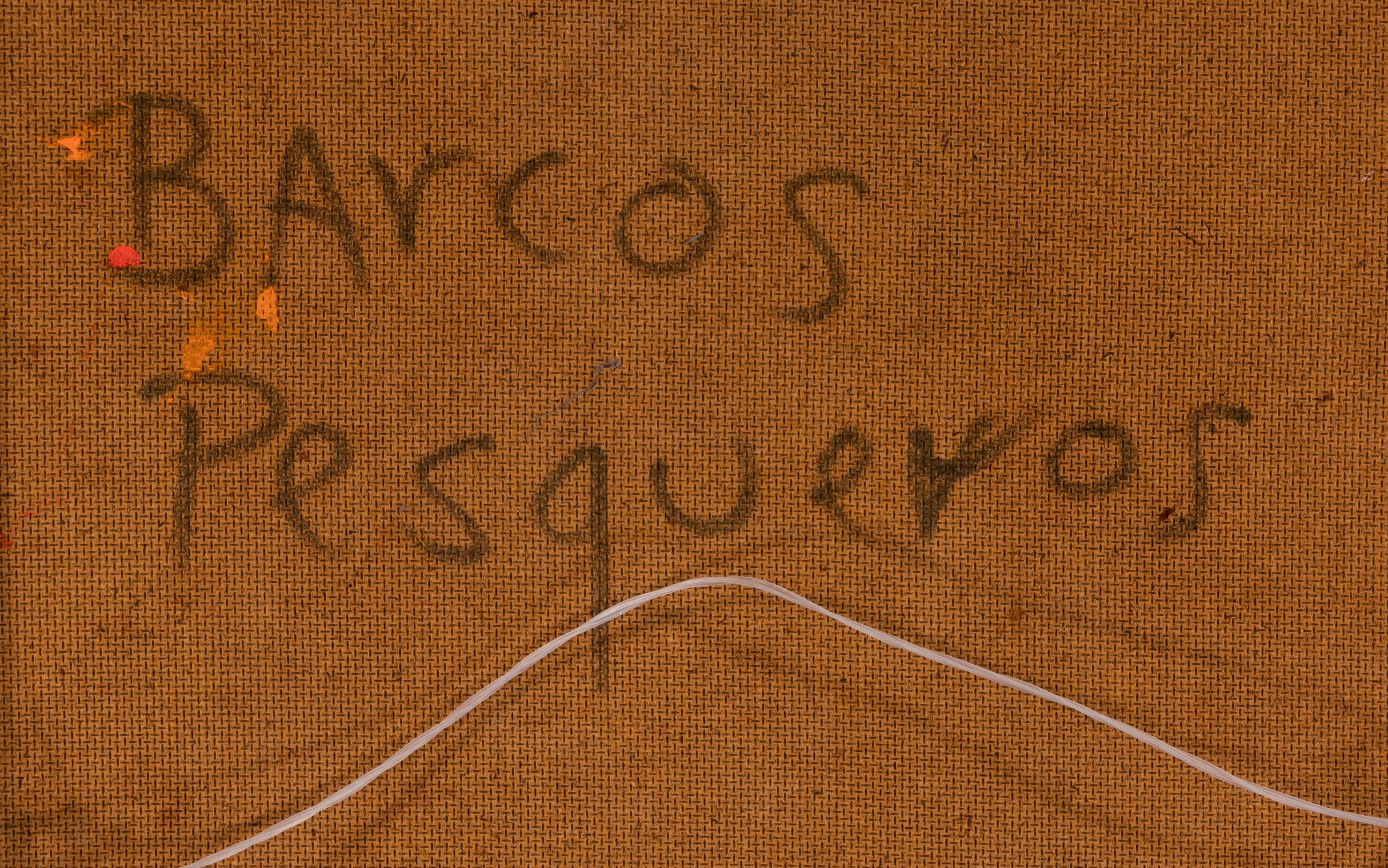 Barcos Pesqueros (Fishing Boats)