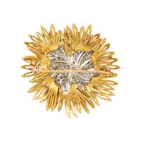 Bicolor Gold and Diamond Brooch