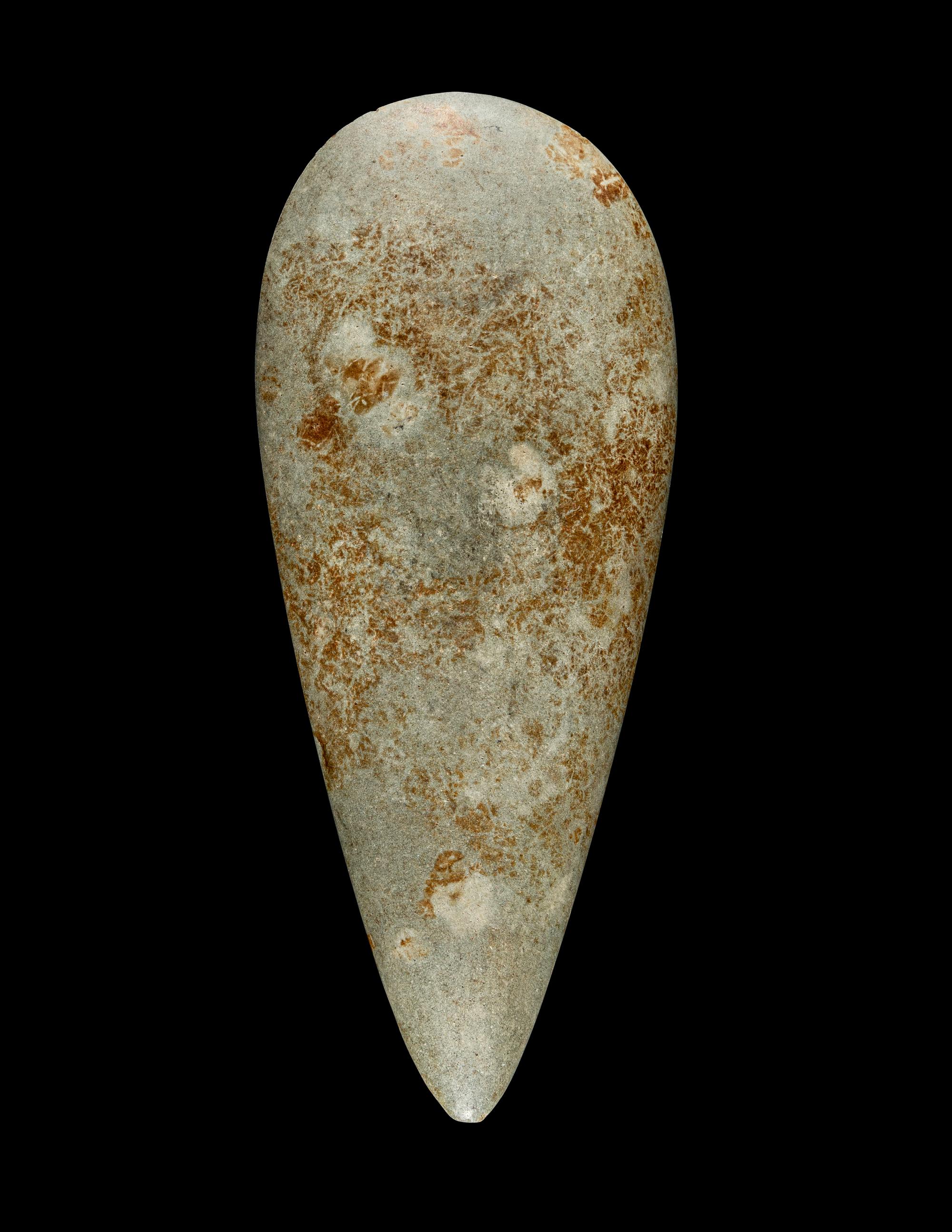 A Taino Greenstone Petaloid