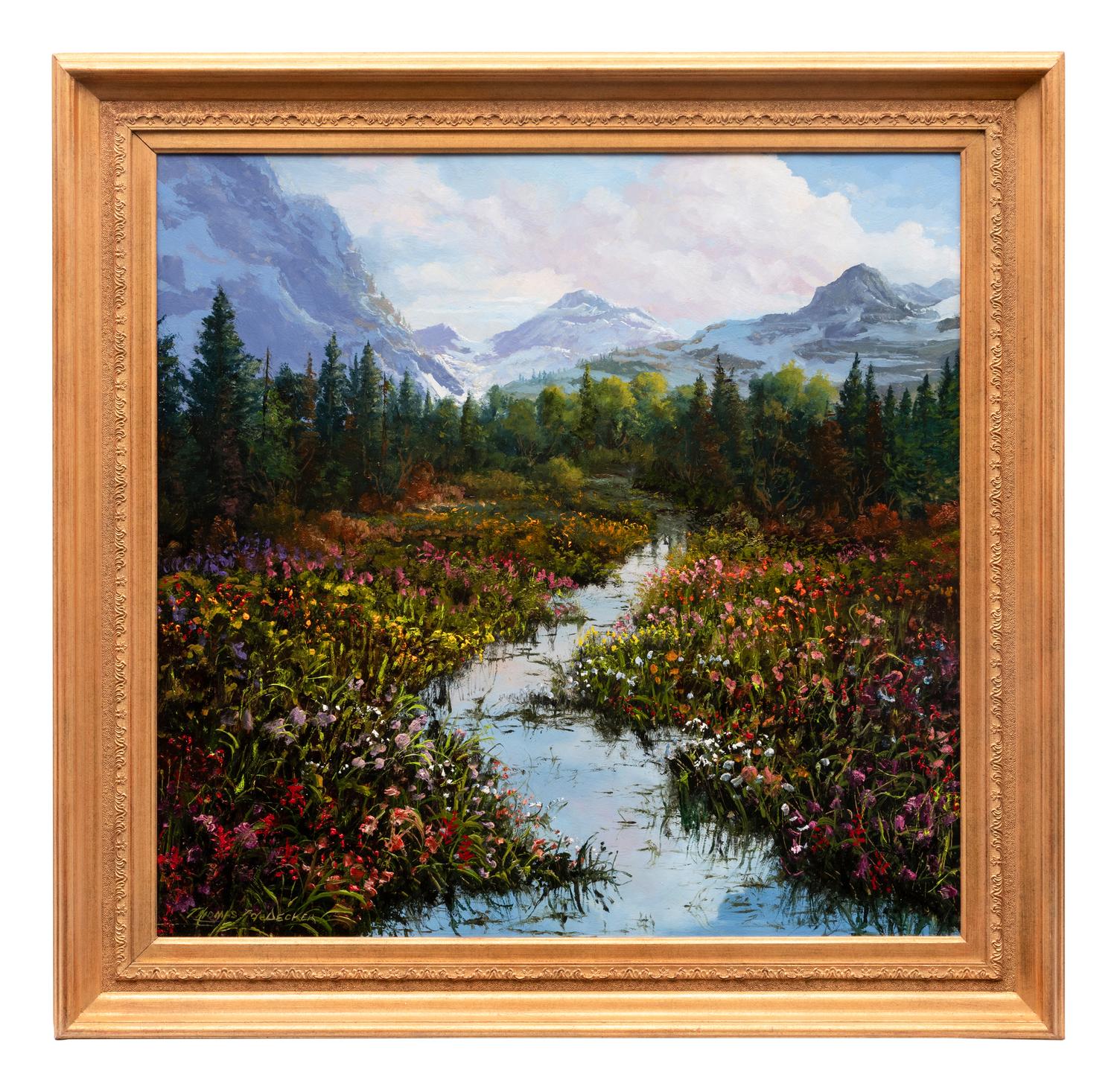 Rocky Mountain Meadows