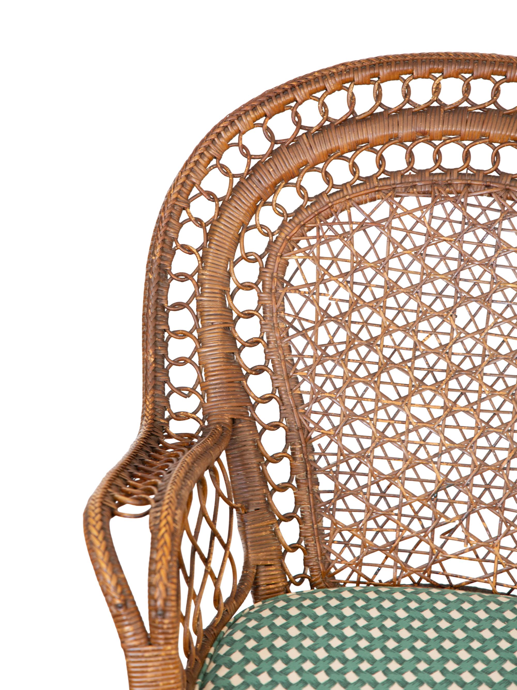 Two Rattan Armchairs