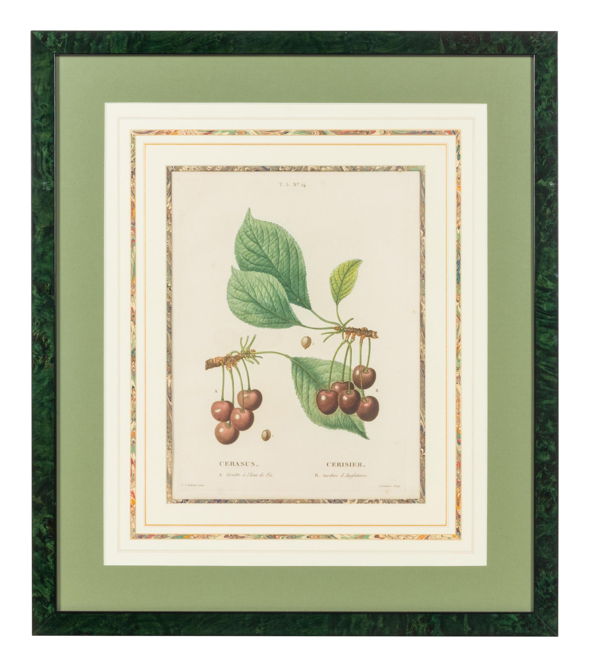 Six French Botanical Prints