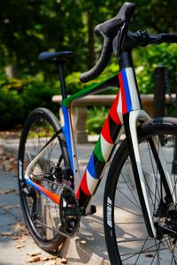 Odili Donald Odita (Nigerian-American, b. 1966) — Cannondale Synapse Carbon 4