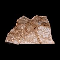 An Attic Black-Figured Amphora Fragment