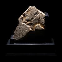 An Egyptian Limestone Fragment with the Face of a Foreigner