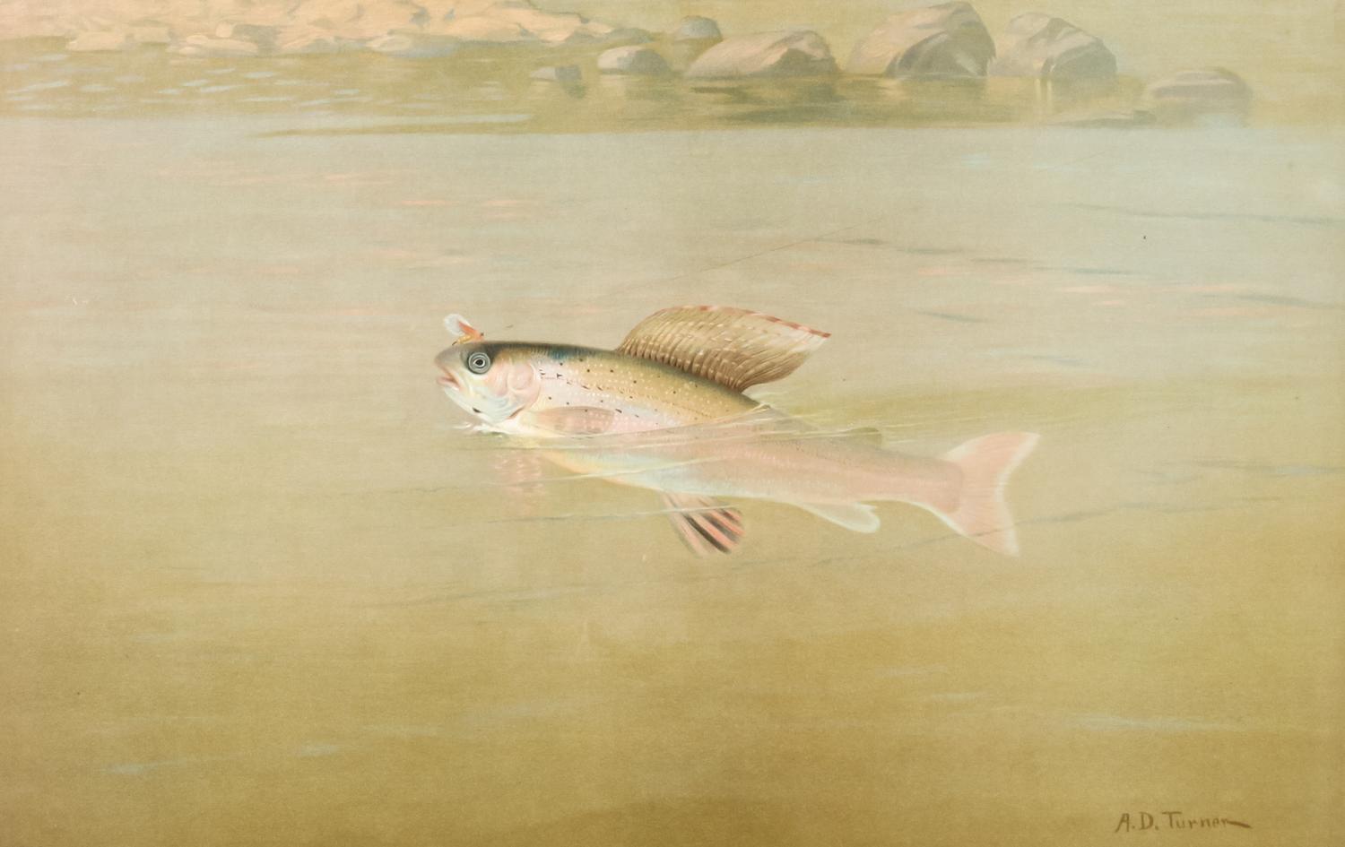 A.D. Turner, (18th/19th Century), chromolithograph "The Montana Grayling" printed by Sackets & Wilhelm’s Litho & Ptg Co. New York, Copy