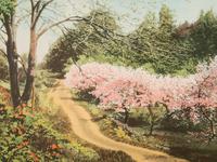 Wallace Nutting (American, 1861-1941)