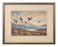 Grouse on the Moor
