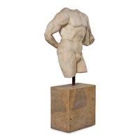 A Continental Marble Male Torso