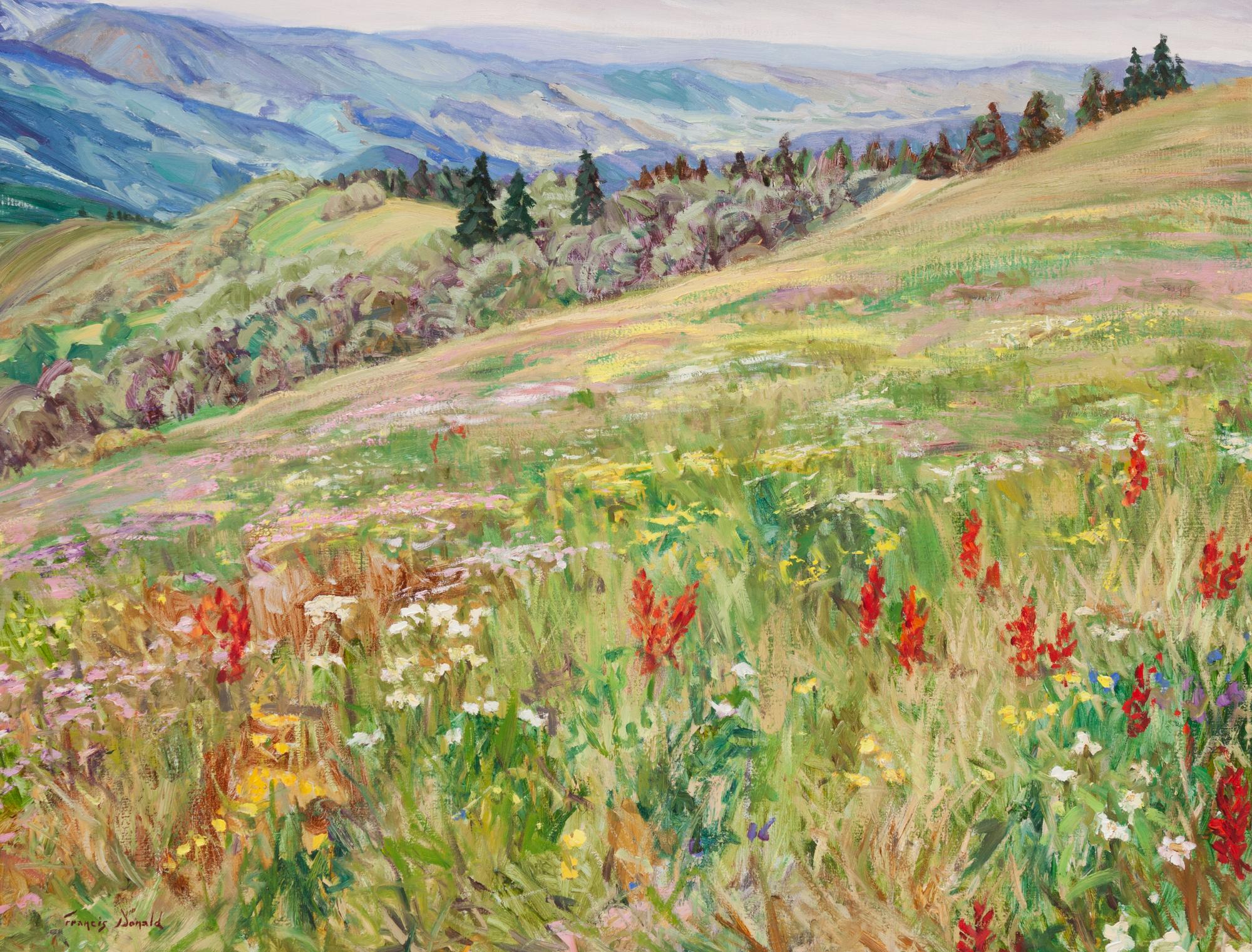 Wild Flowers on Vail Mountain