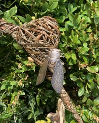 Two Silver Articulated Models of Insects