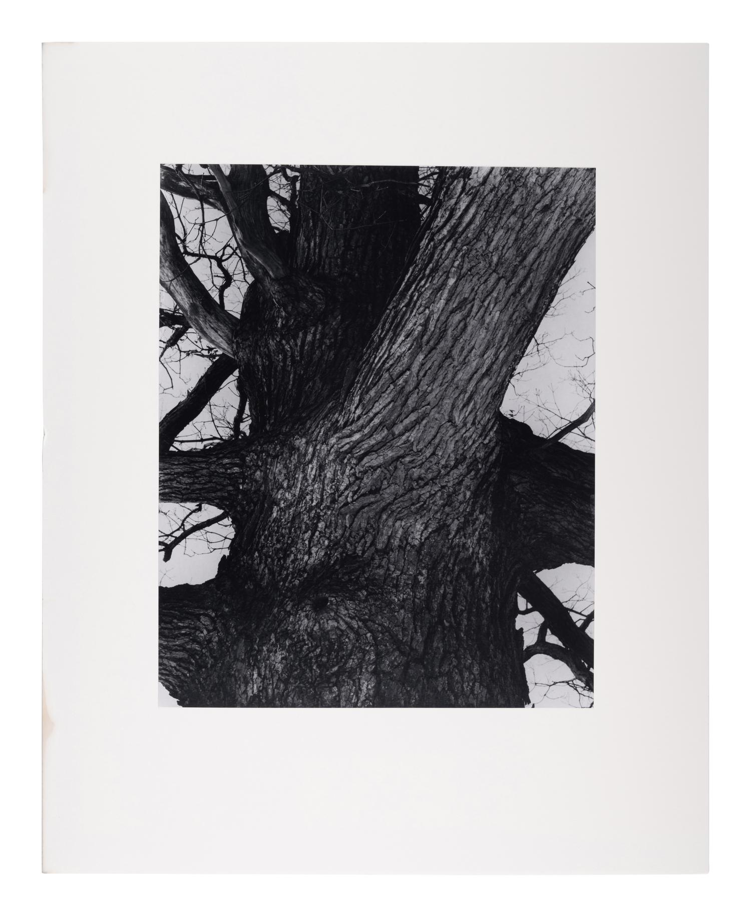 A group of twenty-one photographs (from Twenty-five Photographs printed by George Tice with labels signed by George Tice and Joanna Steichen)