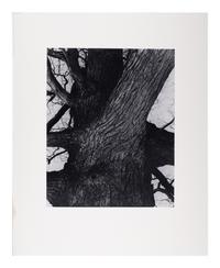 A group of twenty-one photographs (from Twenty-five Photographs printed by George Tice with labels signed by George Tice and Joanna Steichen)