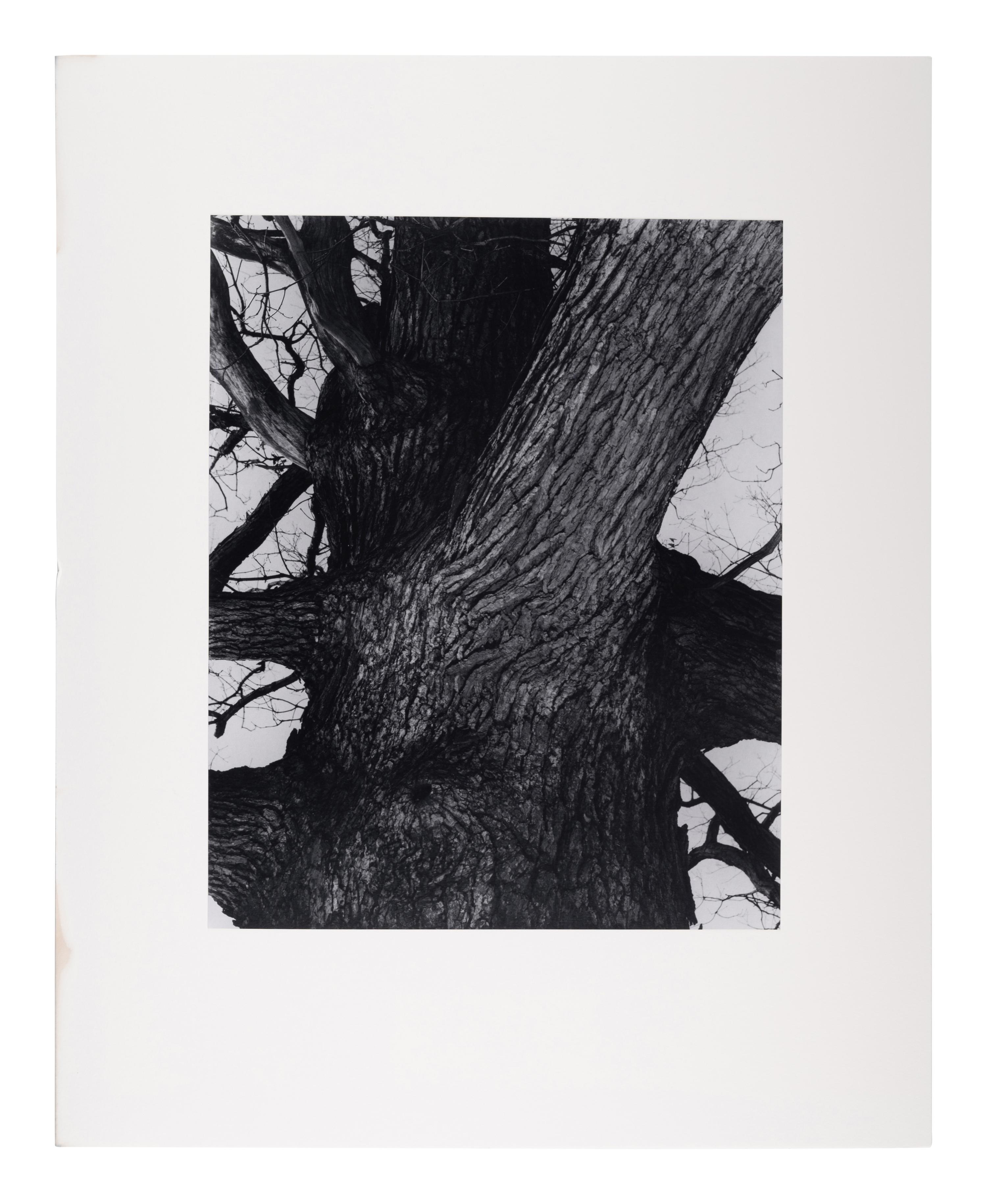 A group of twenty-one photographs (from Twenty-five Photographs printed by George Tice with labels signed by George Tice and Joanna Steichen)