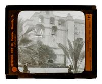 A Collection of Glass Slides