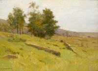 The Clearing