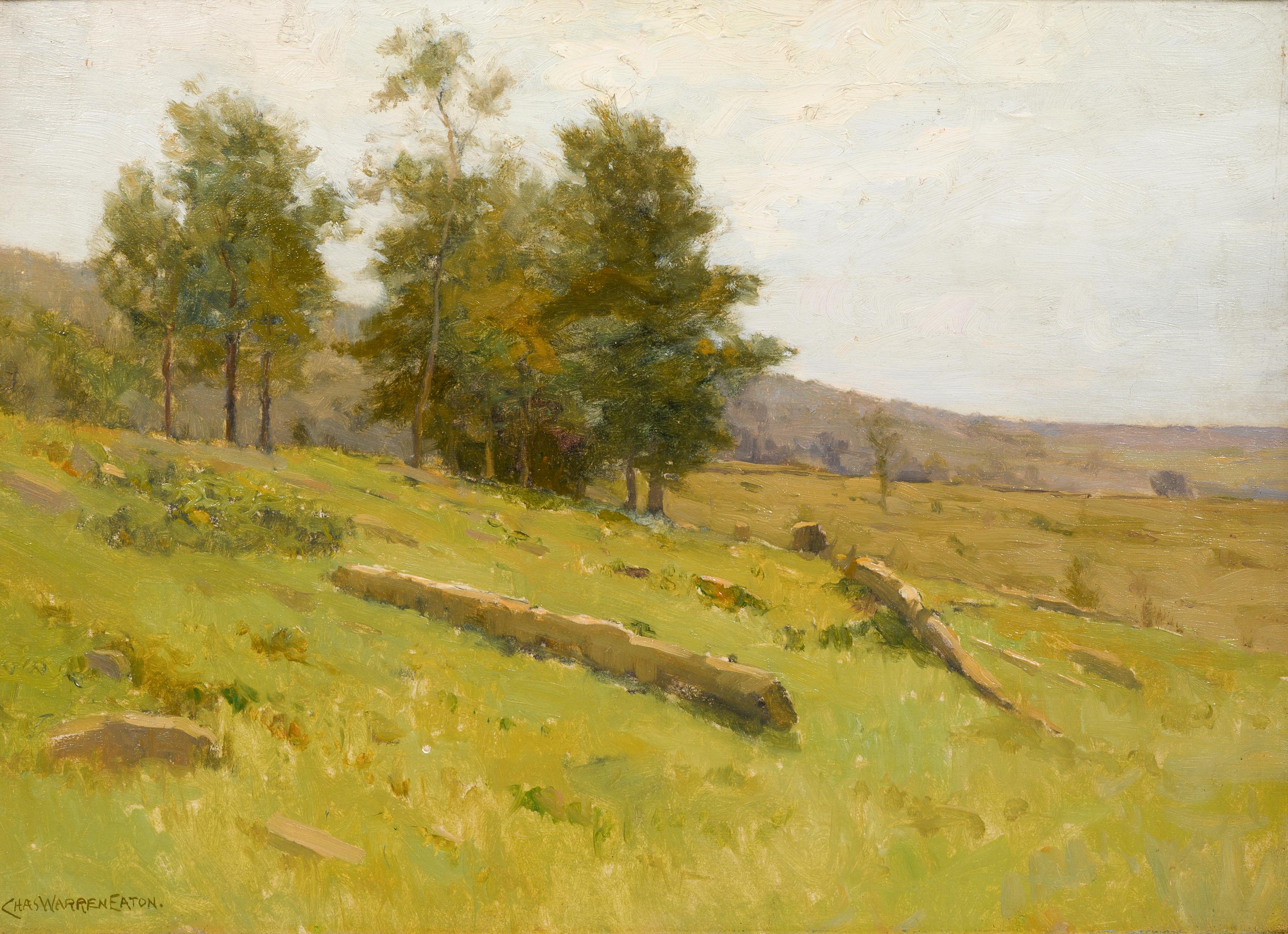 The Clearing