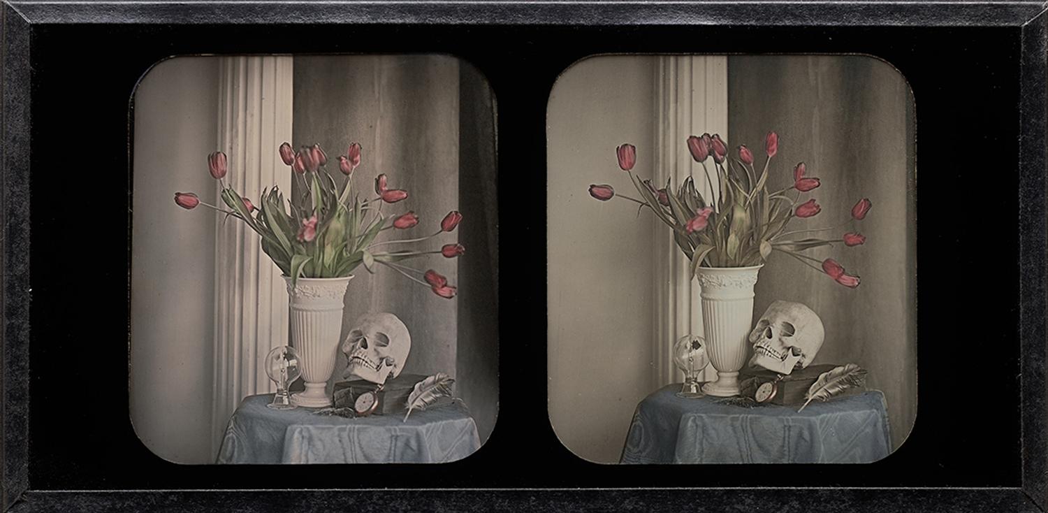 [Contemporary Daguerreian Still Life by Robinson]