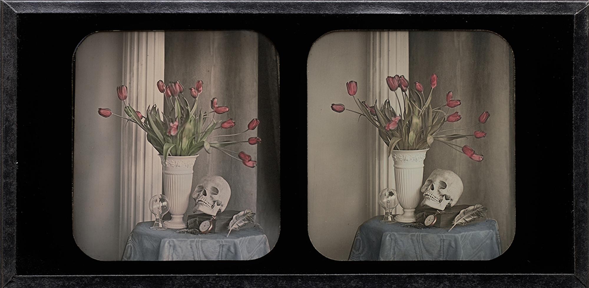 [Contemporary Daguerreian Still Life by Robinson]